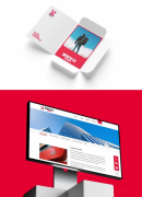 同济大学传授戴晓虎、浙江大学传授黄群星、复