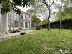 这几年共康四实跌了良多