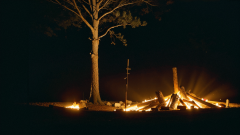 采购商则能快速货源